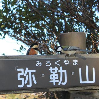 ヤマガラとシジュウカラ