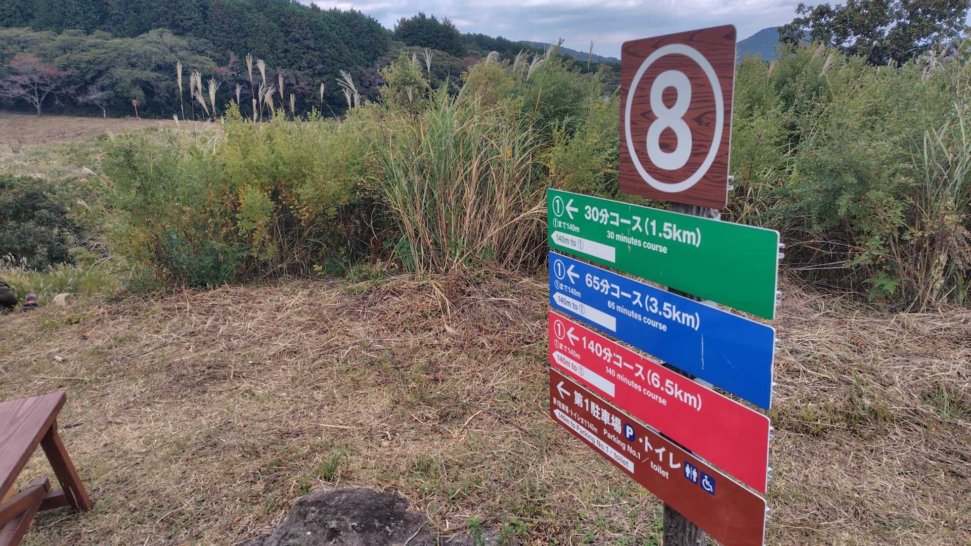 あっという間にSTART地点付近まで戻ってきました🫡