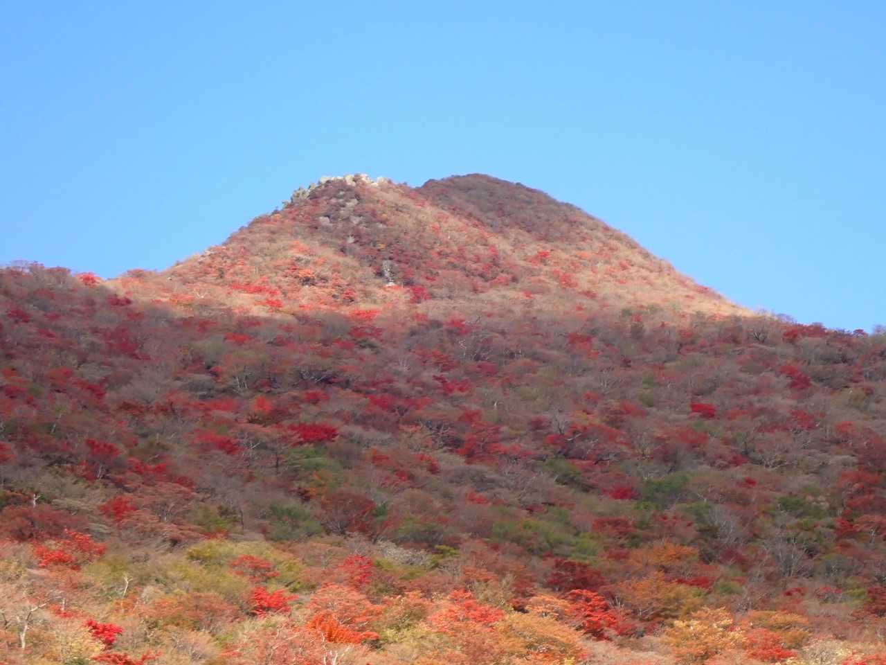 前岳-高塚山 周回コースの写真