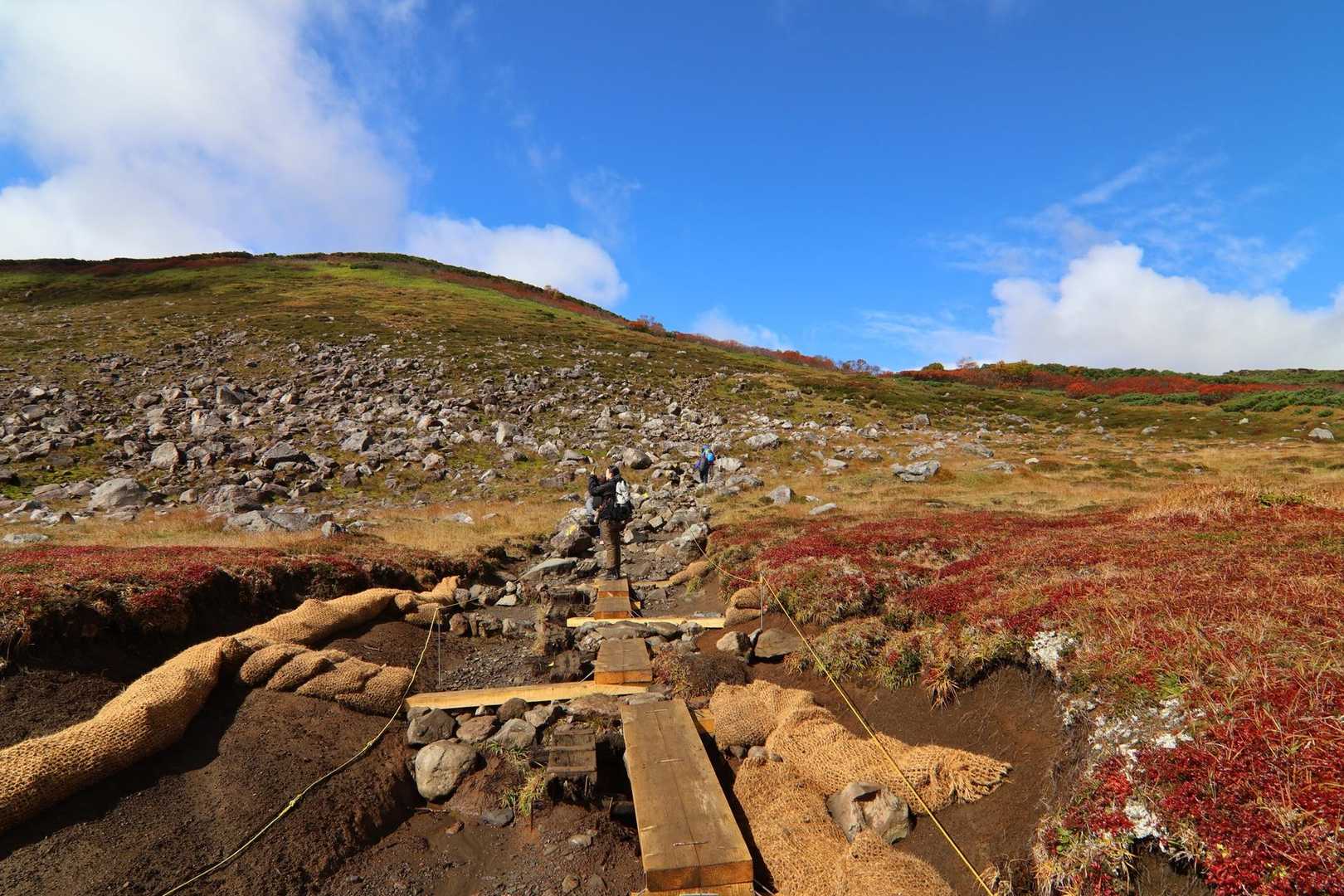 赤岳登山口-第一花園-赤岳 往復コースの写真