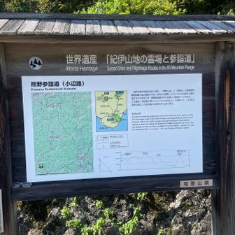 国道まで降りてきた