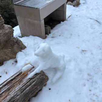 藤内小屋のわんちゃん🐶
溶けかけていた…