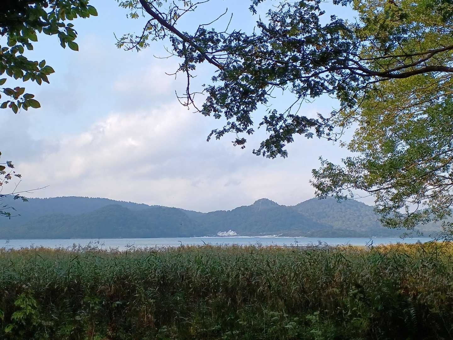 湖面が美しく、涼しい風🌿
