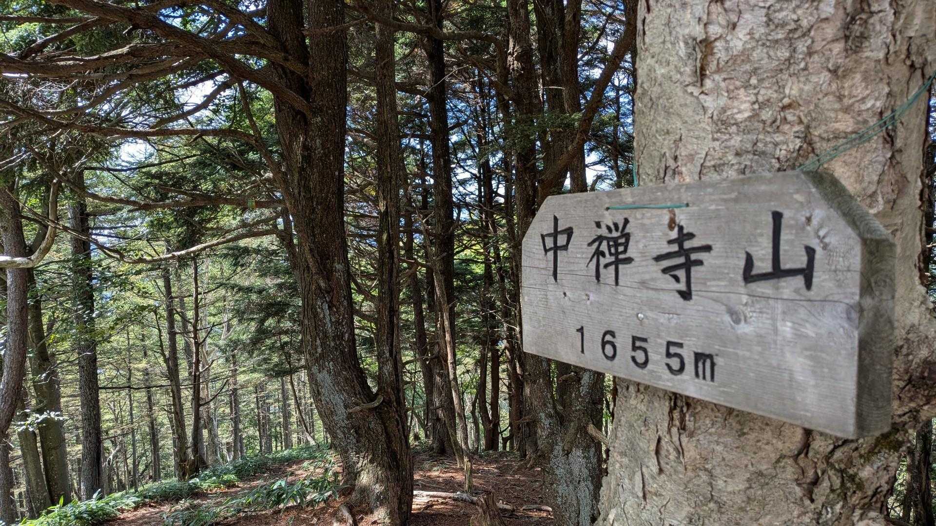 半月山登山口-半月峠-中禅寺山-阿世潟峠 往復コースの写真
