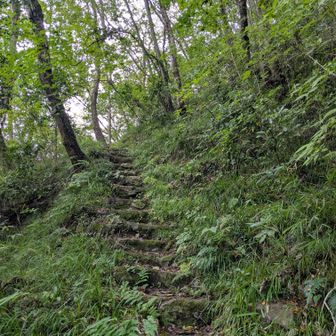 段差の大きな階段は、さっき迄雨が降っていたので滑りました😰