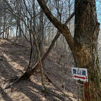 気を取り直して→本坂峠