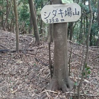 YAMAPの表記だと「シタキ場山」となっていますが (2026年1月現在)、実際には「シダキ場山」のようです。どういう由来の山名なのでしょうか。