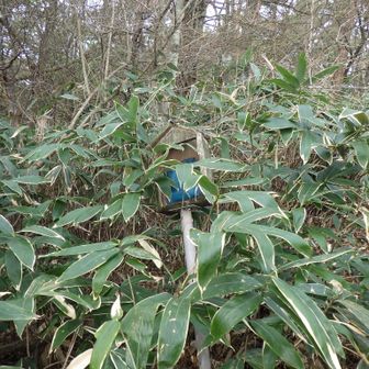 頂上のポスト📮かな？ …と思ったけど違った