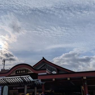 駅周辺激混み。
太宰府天満宮はまた落ち着いてから参拝しよ。
そーいえば、梅ヶ枝餅180円に値上がりしてた😵ま、物価高なので仕方ないのですが、少し高いなと感じる値段にはなりましたね😅