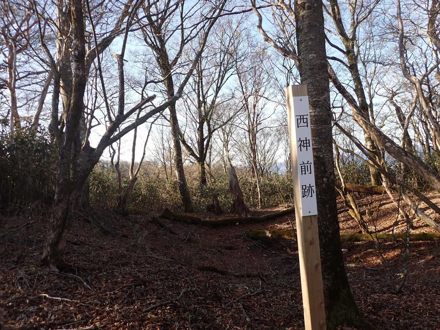 諸塚山 往復コースの写真