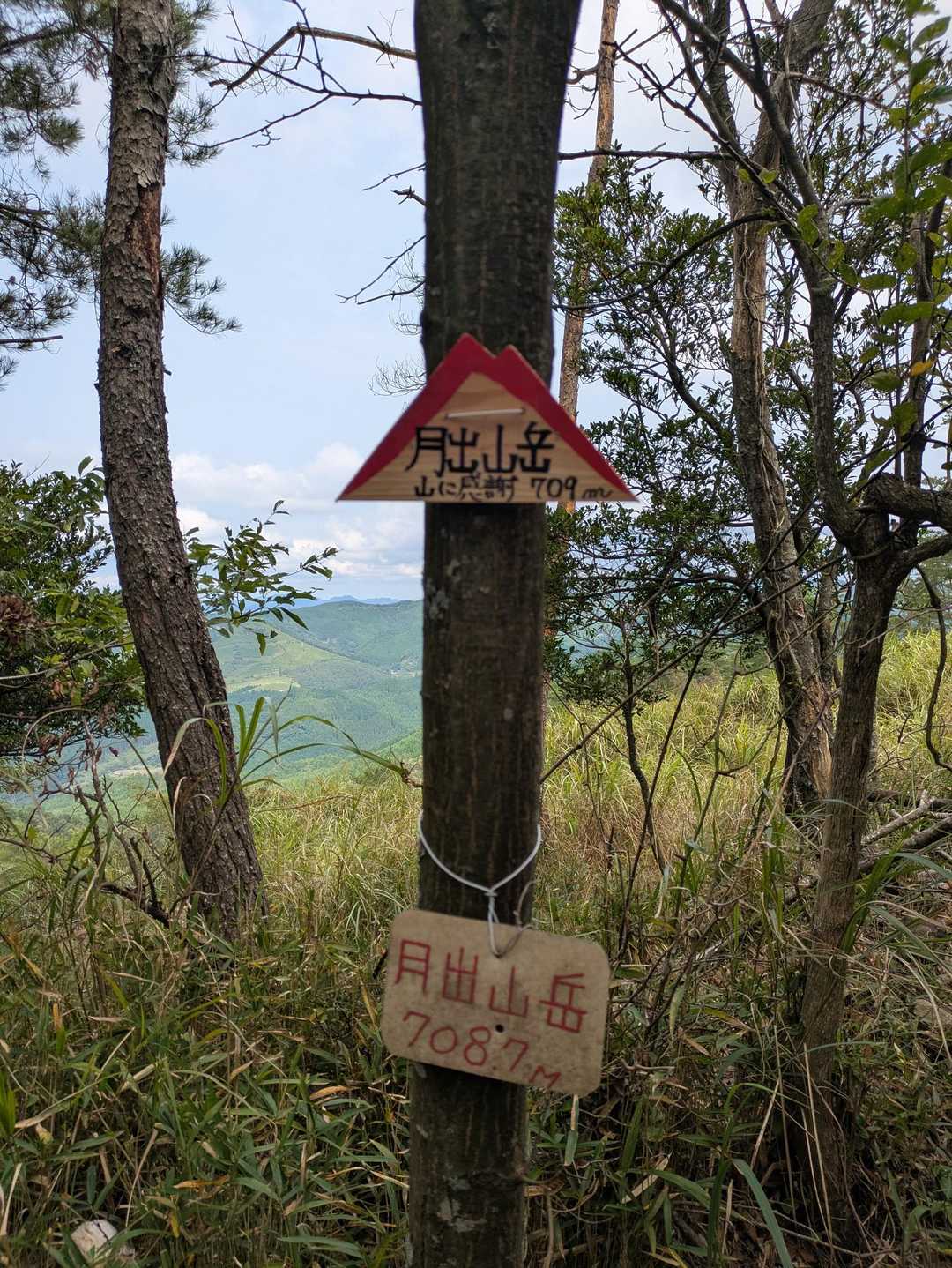 ３番坊主月出山岳
先に行けば展望台があるそうですが立ち入り禁止⛔️とのフォローワーさんのレポにて行きませんでした。