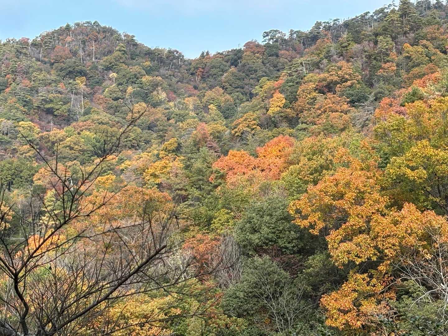 秋色の山
