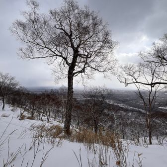 眺望期待してなかったけど
意外に開けてます
山頂標識無かった