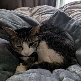 ユーザーカナタ