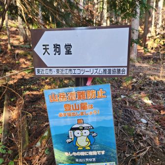 舗装路に出てきて