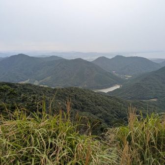 展望