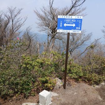 三角点はこちら