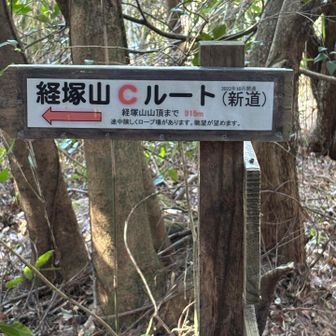 少し険しいＣルートから