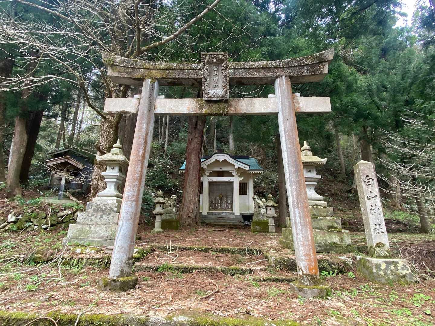 大内峠登山口-大内峠-熊の平-火燈山-小倉谷山-富士写ヶ岳 周回コースの写真