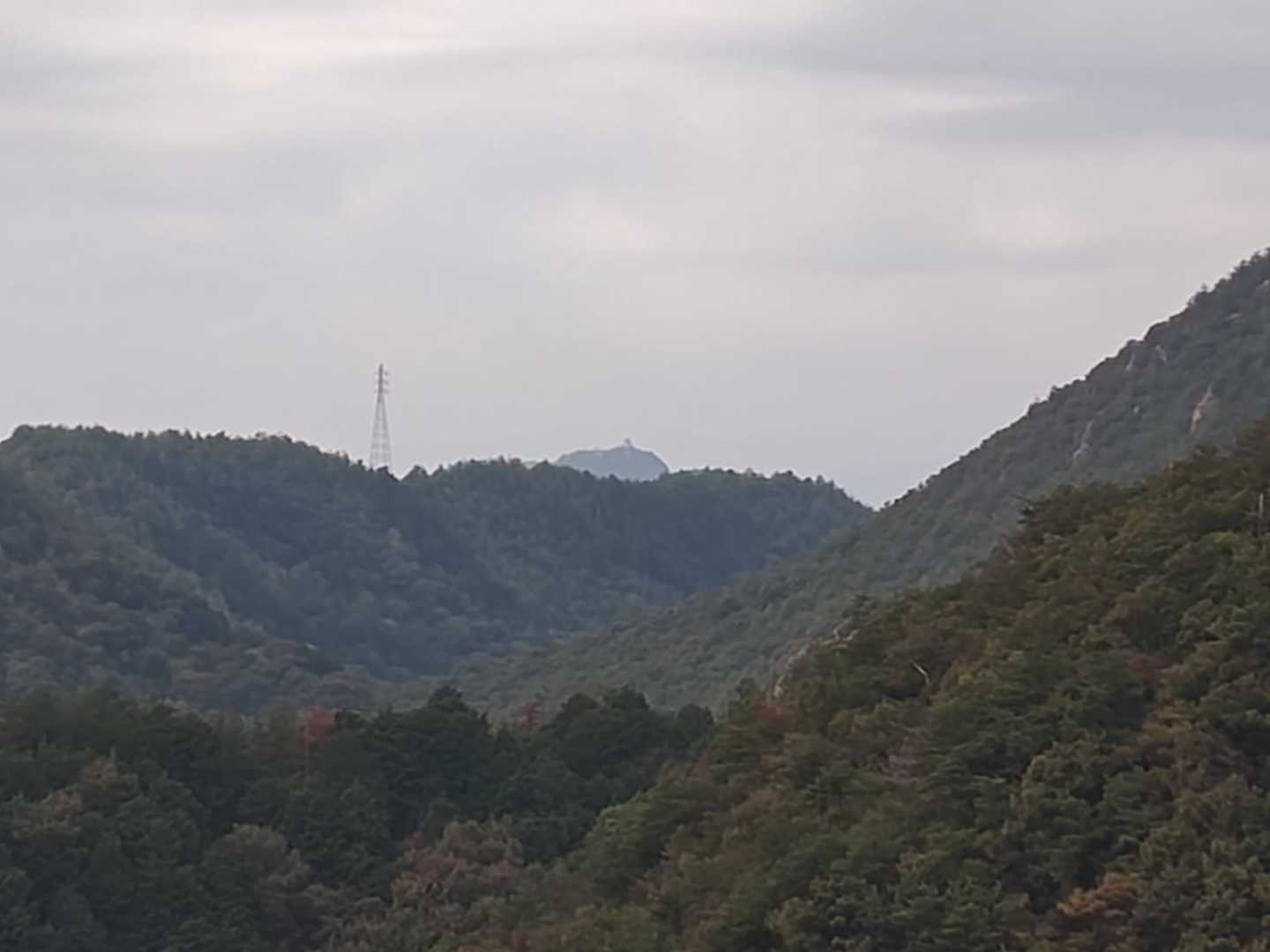 仕方ない
遠目に金華山で我慢しよう