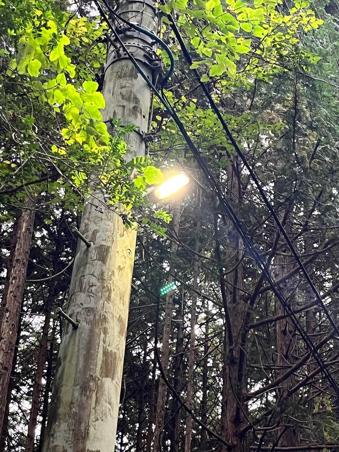 電気がついてます
昼間でも薄暗いです