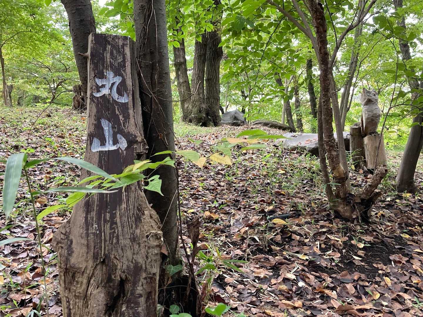 ありました！
頂上というより、登山道沿い
これじゃー見つからない訳だ😃
