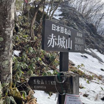 登山口
最初からチェーンスパイク装着しました。