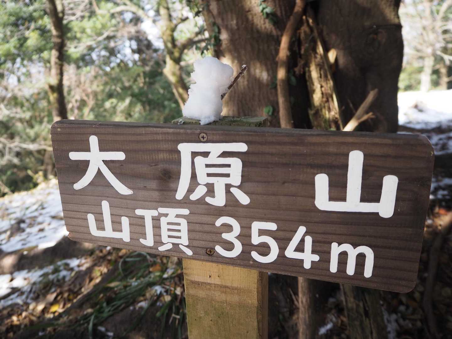 戻ってきて，ゴジラさん乗せました