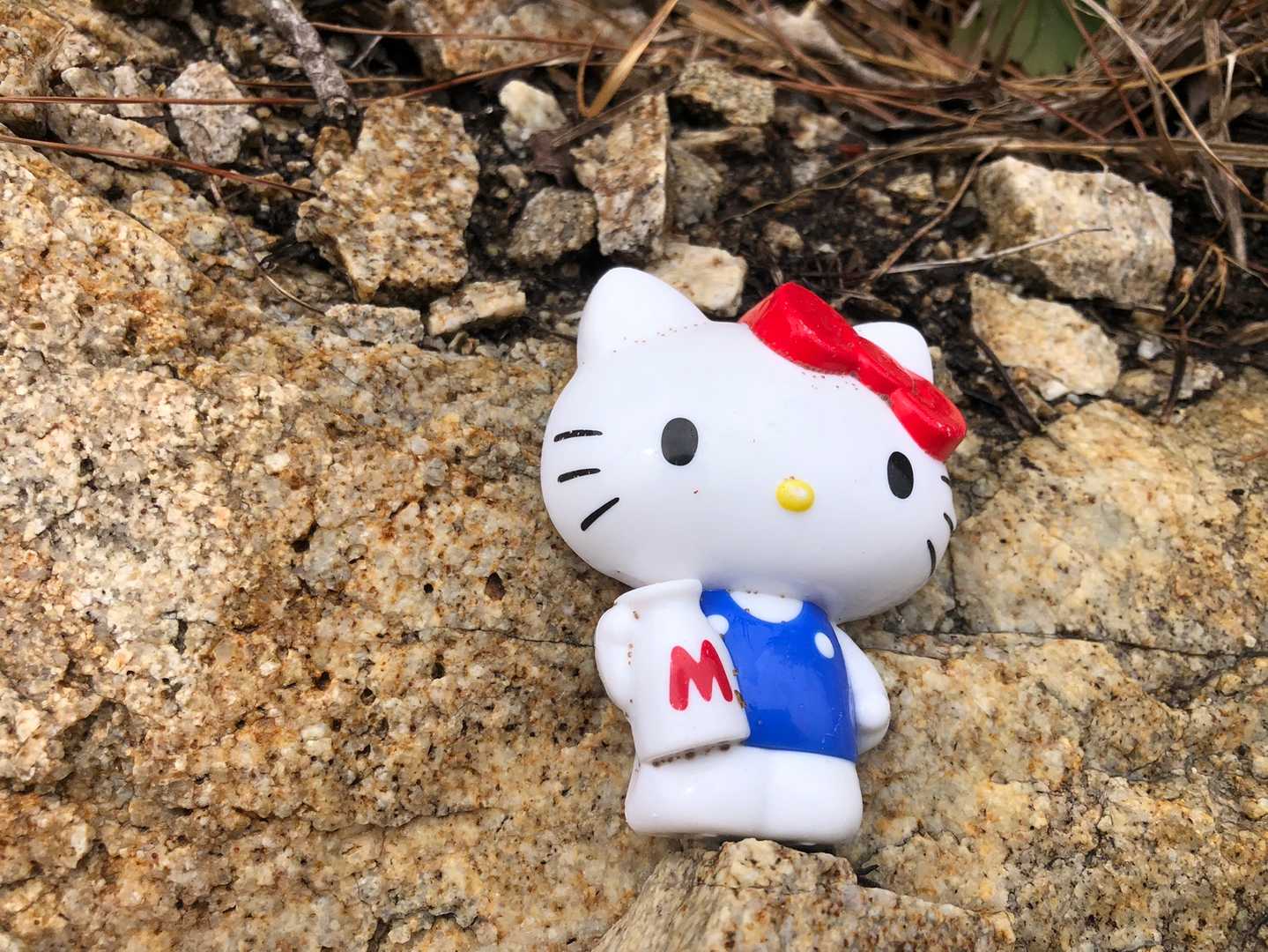 奇跡の出会い。
……なるほど……。