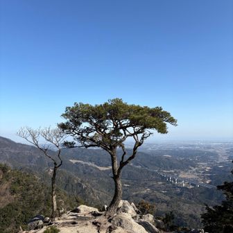 絵になる　誰か手入れしてるのだろうかこの美しさ　そういえば雲ひとつないですね！