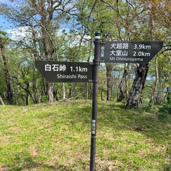 前大室山頂