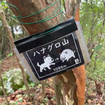 ハナグロ山🗻