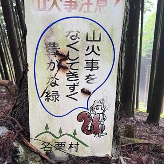 リスかわちい