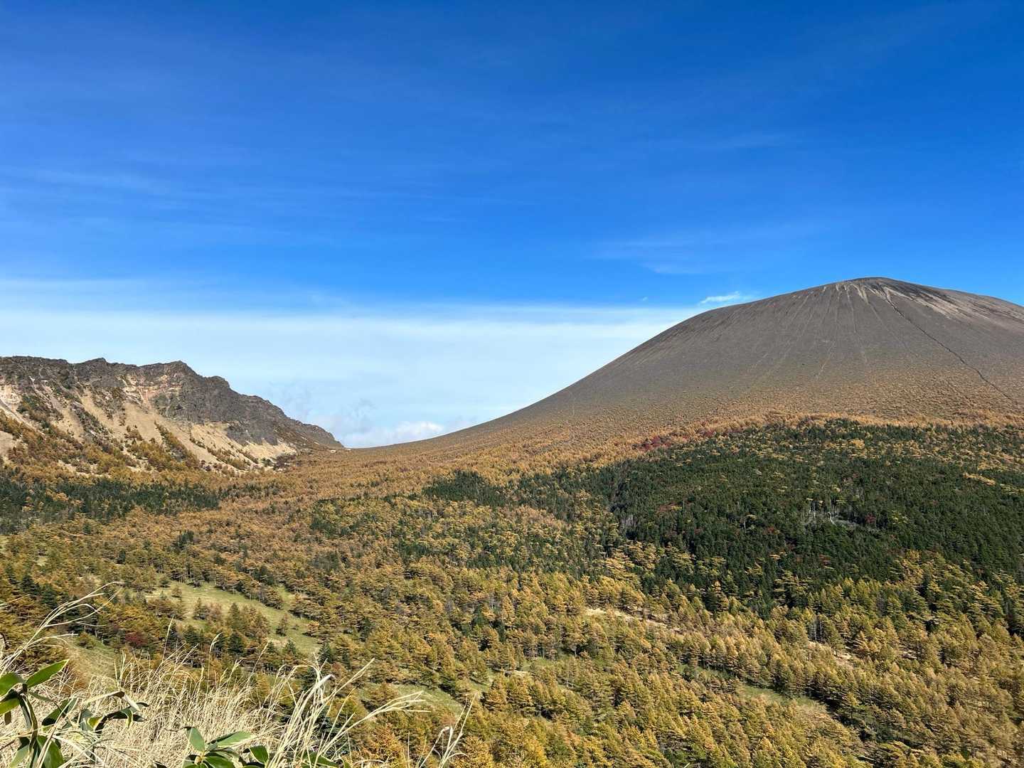 草すべりの途中で一枚📸 そろそろ飽きた🤣