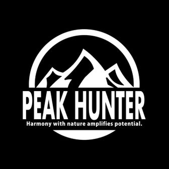 ヤマトディスコ