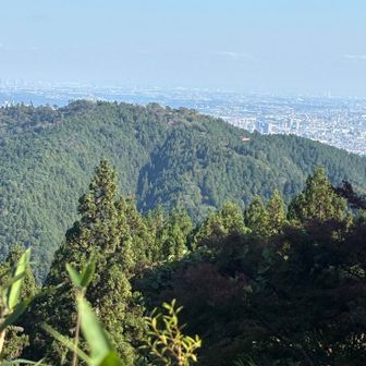 小仏城山へ着くと向かいのお山の方でヘリがホバリングしていました。
向かいのお山はなんというお山だろう？
要救助者が無事に助かるといいなと思っていました。