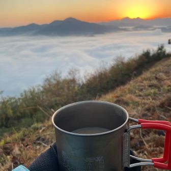 本日はロイヤルミルクティー🫖