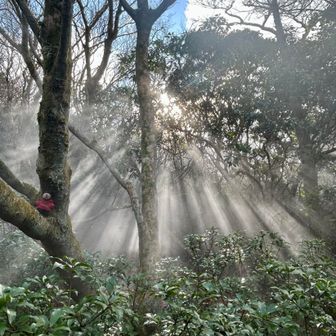 なんかラッキーな
気持ちに( ´艸｀)