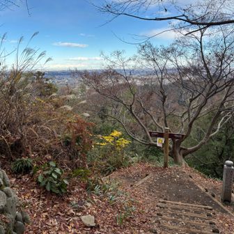 眺望はこれが最後。コンクリートの急な参道を降りて、駅の隣の極楽湯（平日1100円）に飛び込み、15:26の新宿行き特急にセーフ。