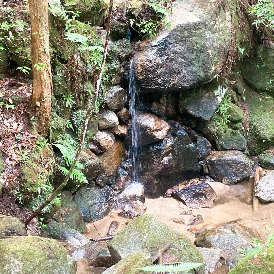 小さな滝