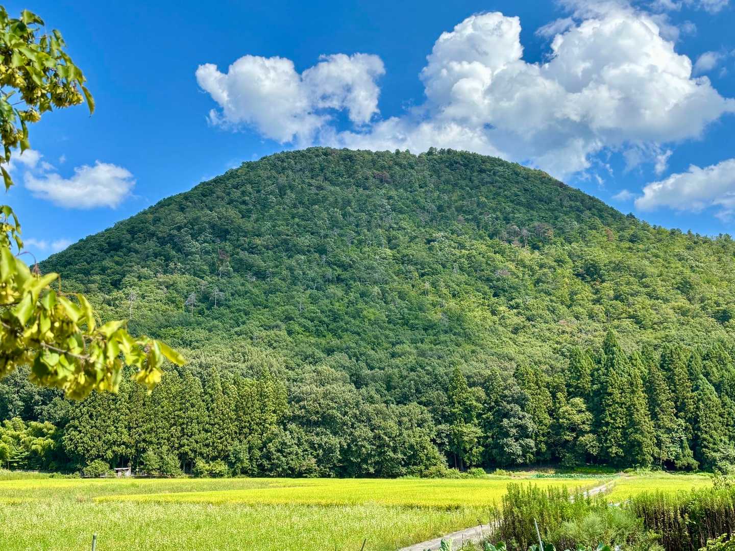今日も安定のどっしり大岡山⛰️✨
STARTからいつも最高ですよ♪