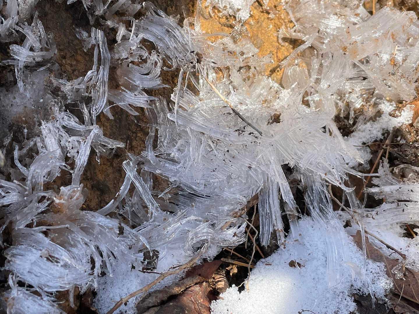 銚子ヶ滝登山口-和尚山 往復コースの写真