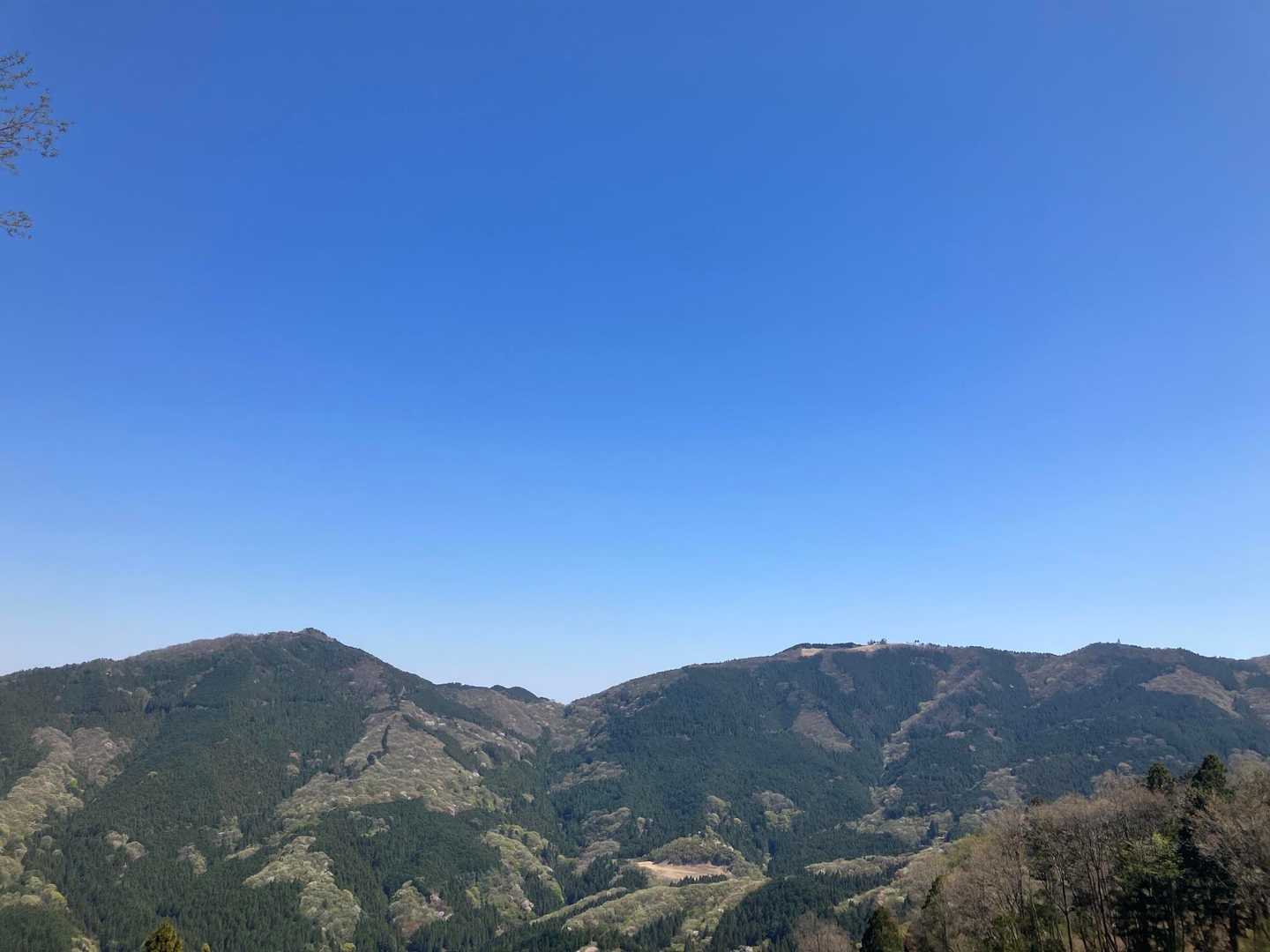 橋場バス停-大霧山登山口-大霧山-旧定峰峠-定峰峠-白石車 縦走コースの写真