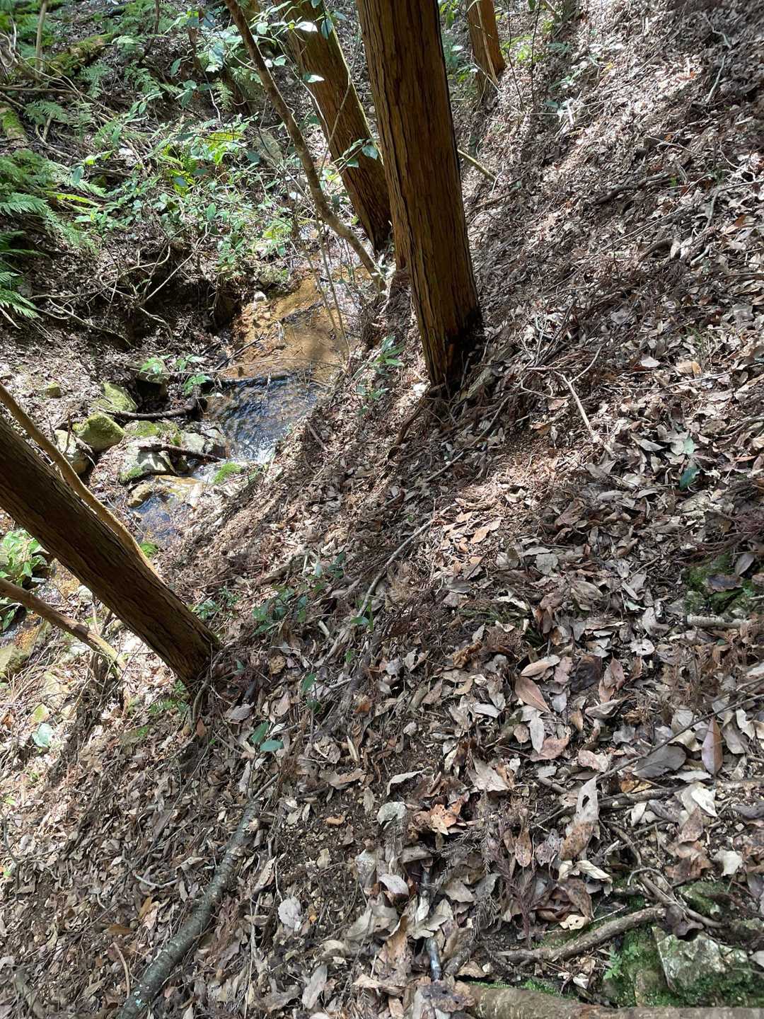 足場、かなり狭い😅
気をつけて🚶