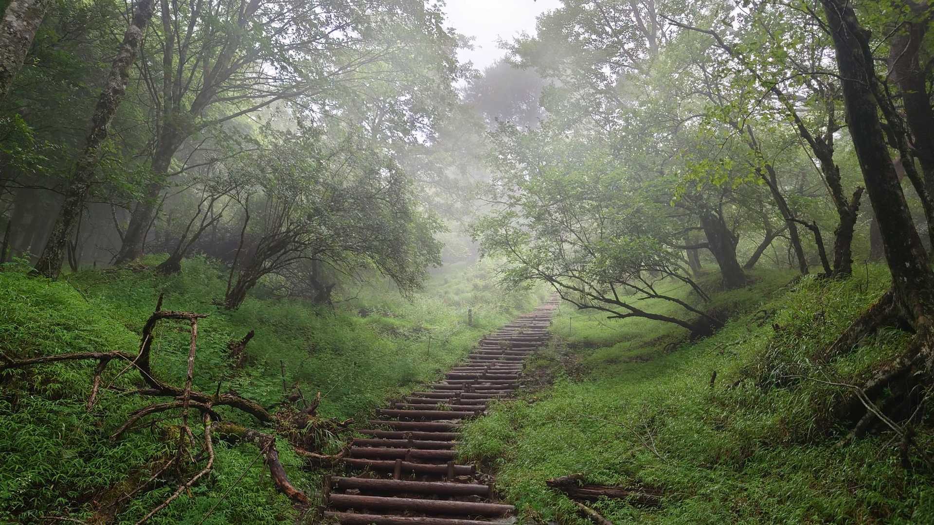 綺麗だわぁ✨