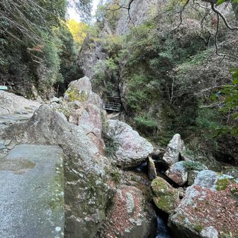 滝道は雰囲気良い