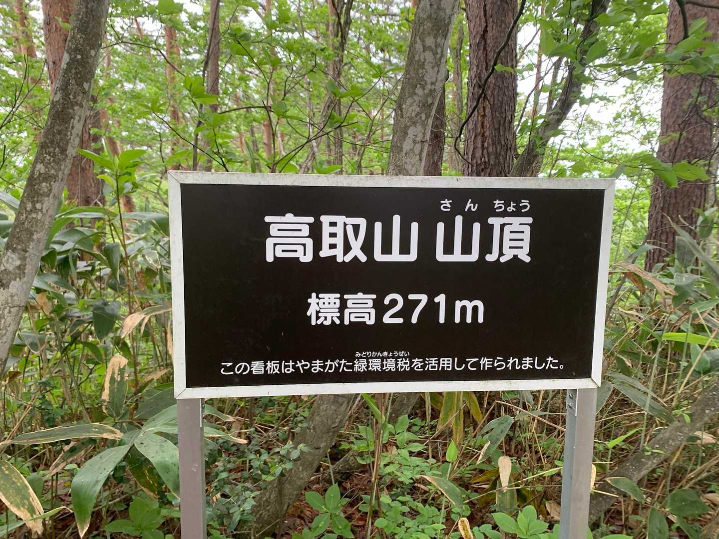 高取山山頂　見晴らしはない