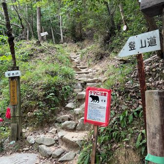 いきなり、クマさん出没看板😱
登山者は多そうなので気にしないで突入します✊