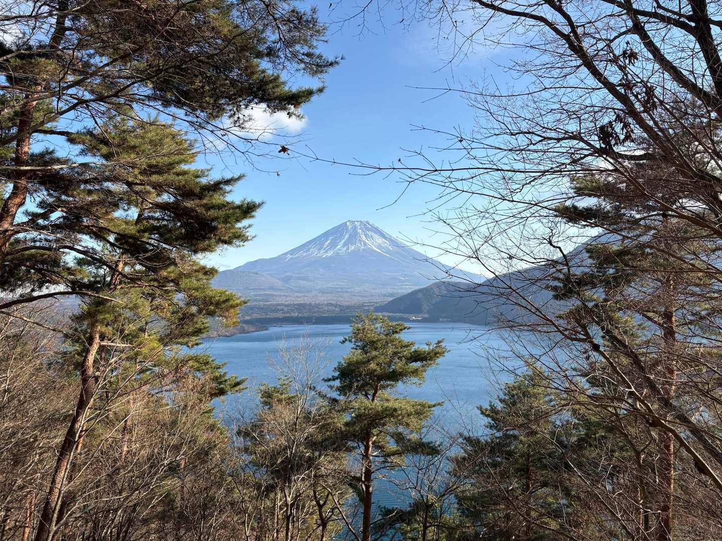 湖畔から高台へ
