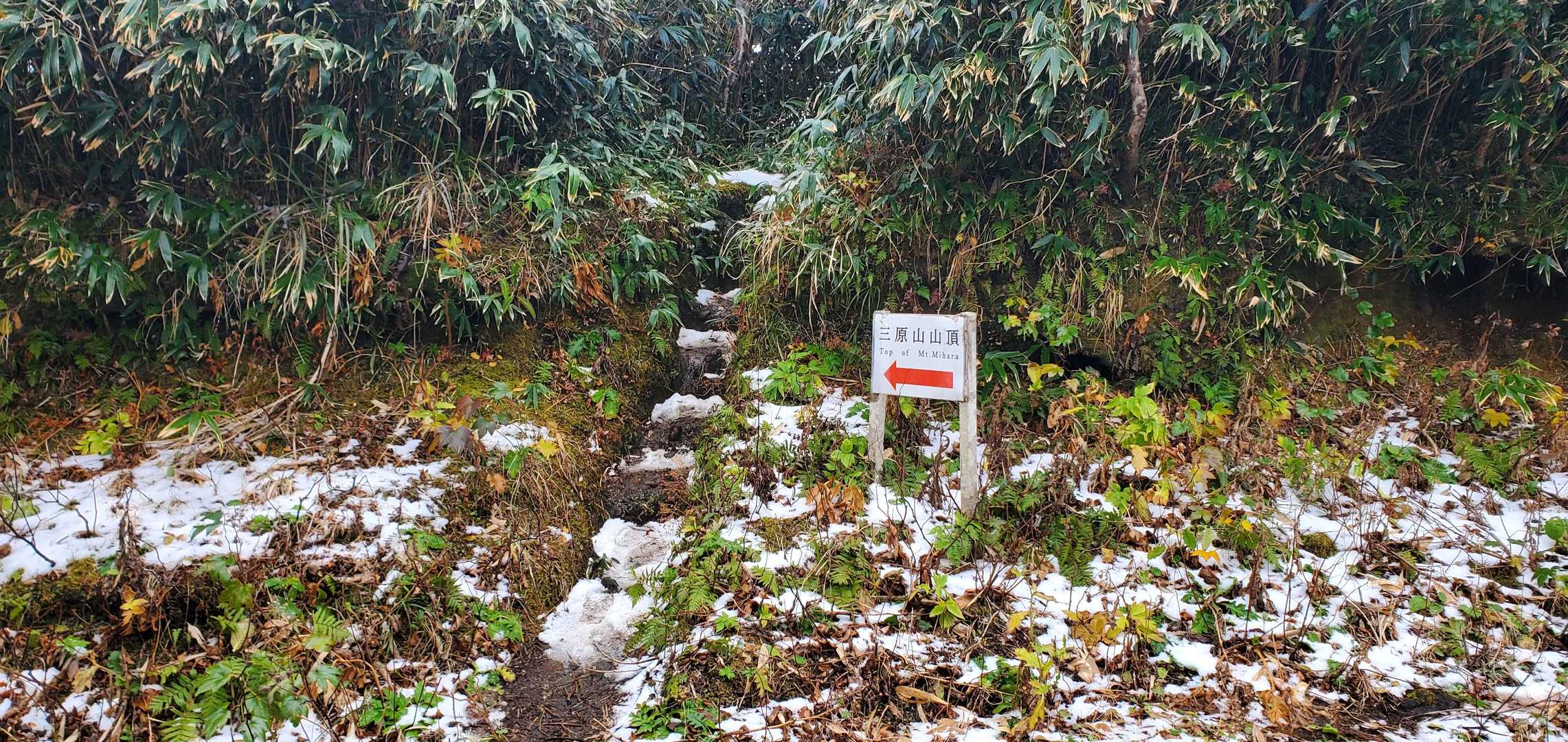 登山口
天気は雪☃️です😱